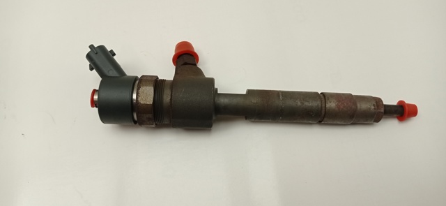 0445110276 OPEL Inyector de combustible  comprar en Oviedo