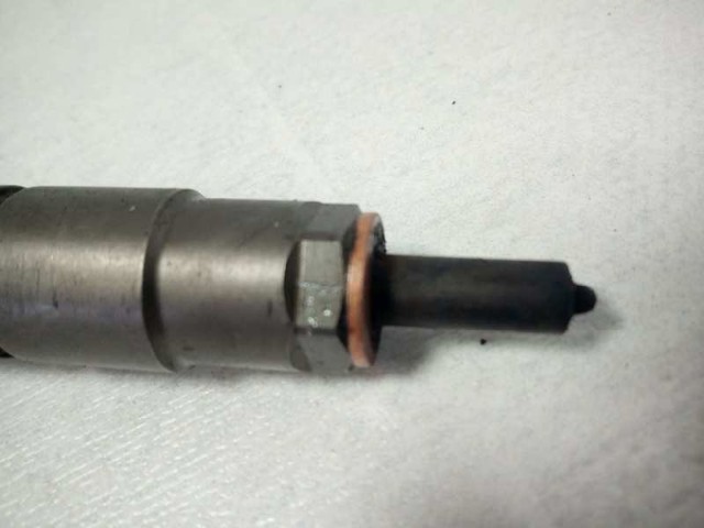 0445110289 BMW Inyector de combustible  comprar en Oviedo