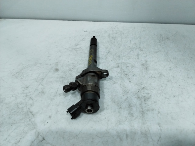 0445110311 PEUGEOT Inyector  en stock Gandía