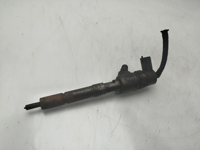 Inyector de combustible Fiat Doblo  (2010-2022)