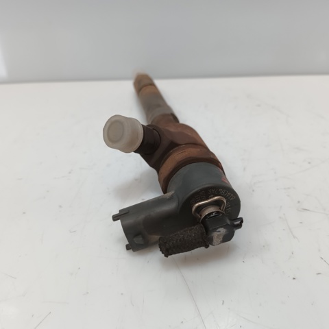 0445110351 Inyector de combustible  disponible Burgos