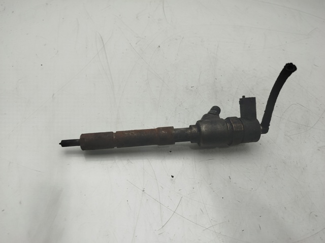 0445110351 FIAT Inyector de combustible  disponible Ourense