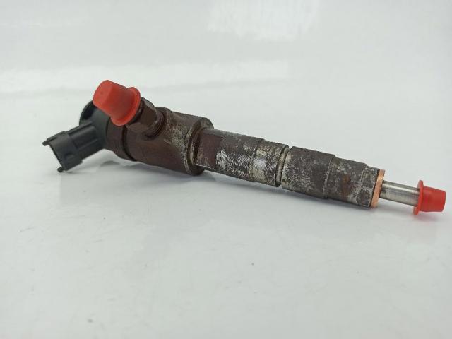 0445110739 PEUGEOT Inyector  en stock Gandía