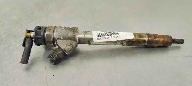 0445110955 PEUGEOT Inyector comprar Madrid