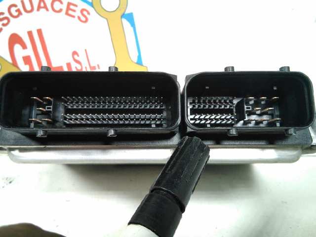 045906019BF VAG Unidad de control del motor (ECU)  comprar en Oviedo