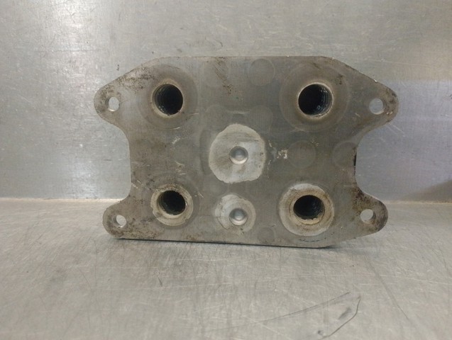 04E117021K VAG Radiador de aceite  comprar en Oviedo