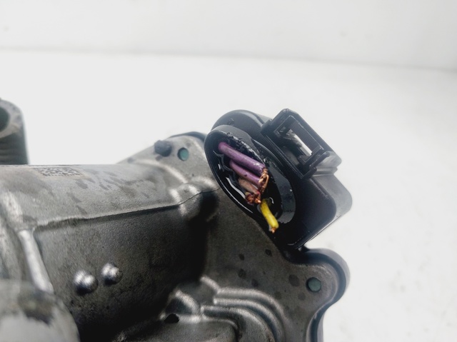 04L128063T Cuerpo de mariposa comprar Almería