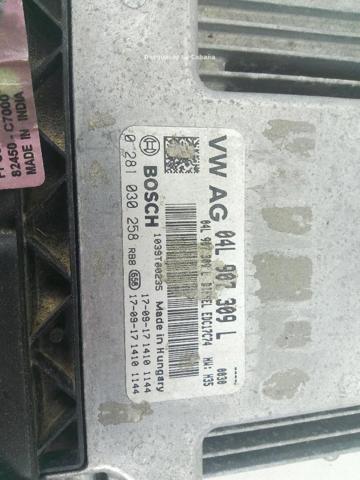04L907309L VAG  comprar en Lleida