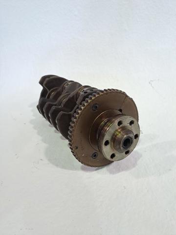 Cigüeñal Audi A6 4F2