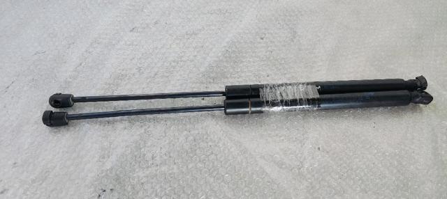 CHRYSLER 05178293AC Amortiguador de la tapa del maletero  comprar en Murcia