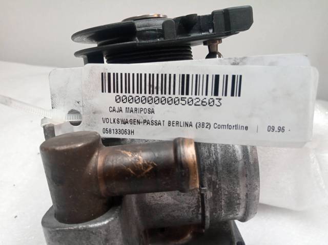 058133063H Cuerpo de mariposa comprar Almería