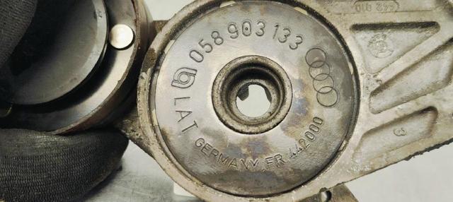 VAG 058903133 Tensor de correa, correa poli V  disponible Valladolid