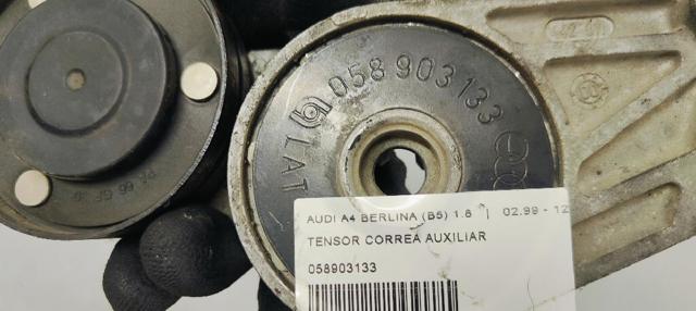 058903133 Tensor de correa, correa poli V  comprar en Zaragoza