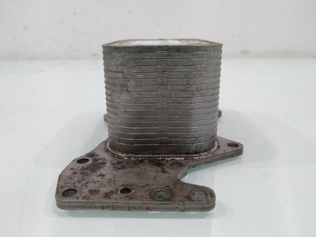 VAG 059117021J Radiador de aceite  comprar en Albacete