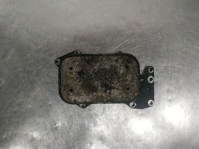 Enfriador de aceite  059117021J VAG