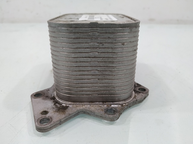 VAG 059117021J Radiador de aceite  comprar en Ponferrada