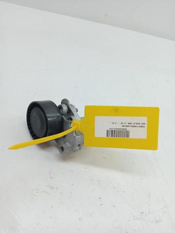 Comprar Rodillo tensor auxiliar de correa de distribución Volkswagen T-CROSS  C11, D31 a bajo precio