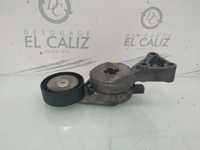 VAG 06A903315E Tensor de correa de alternador comprar Pamplona