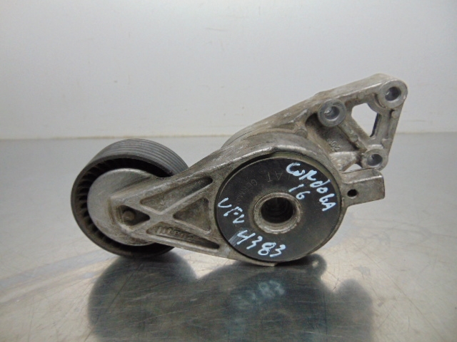 VAG 06A903315E Tensor de correa poli V comprar Barcelona