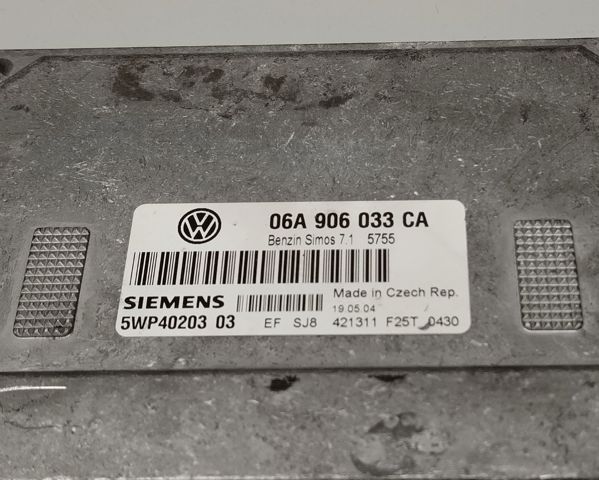06A906033CA VAG