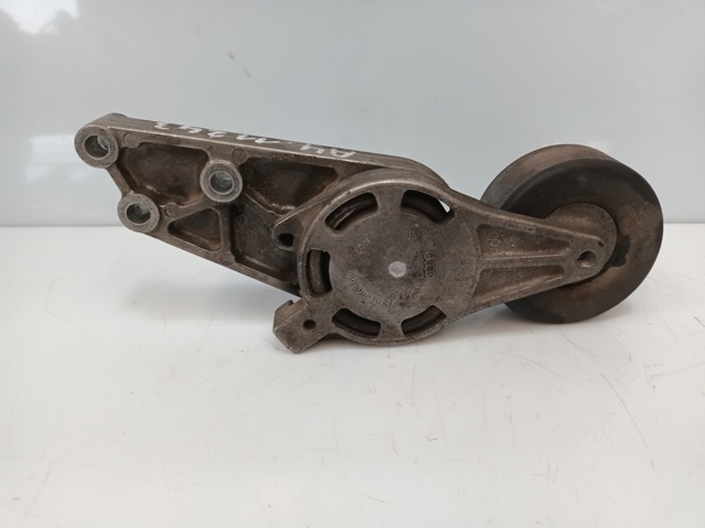 Tensor de correa poli V para Seat Exeo 3R5