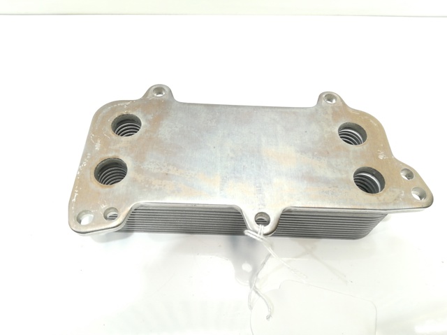VAG 070117021D Radiador de aceite comprar Pamplona