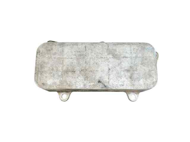 Enfriador de aceite  070117021D VAG