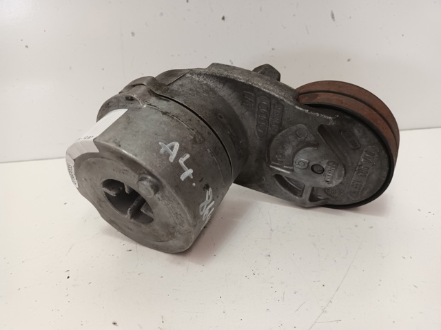 Tensor de la correa trapecial poli v Audi A4  (8H7)