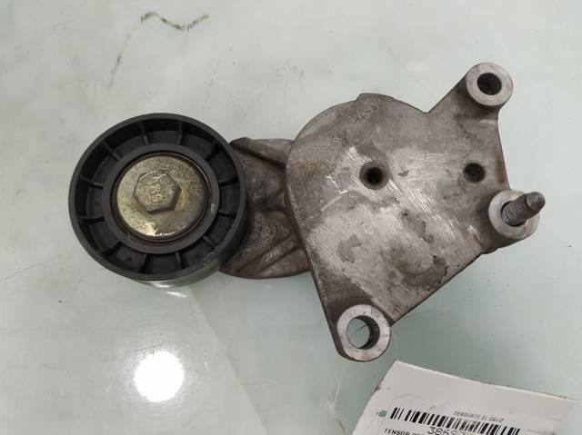Rodillo tensor cadena Citroen C4  monovolumen comprar en España