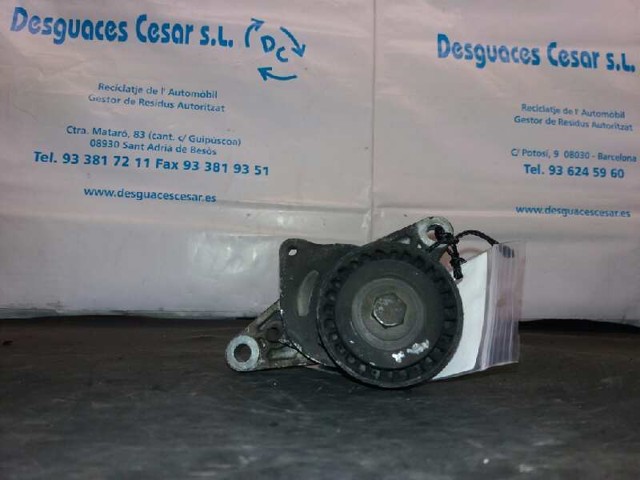 Rodillo intermedio de correa dentada 083061 PEUGEOT