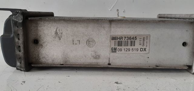 OPEL 09129519 Intercooler  en stock Valencia