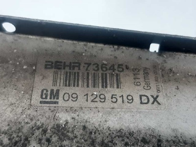 09129519DX Intercooler  disponible Utrera