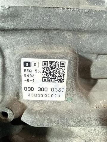 09D300036S VAG