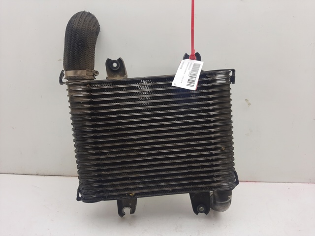 Comprar Turbo intercooler Carnival I UP