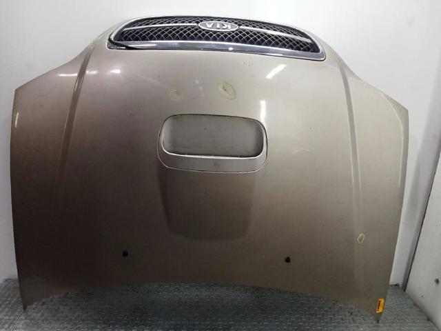 Capó para KIA Carnival UP