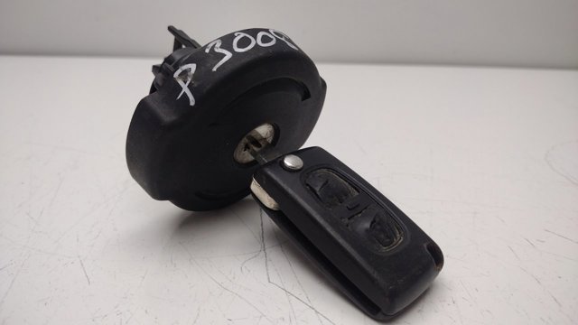 10014390100 Peugeot/Citroen
