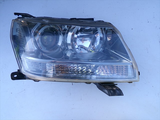 10059079 Suzuki