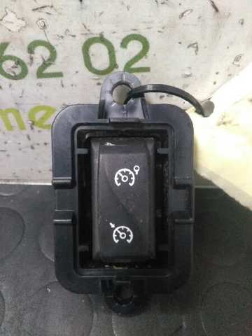 1015009001 Renault (RVI)