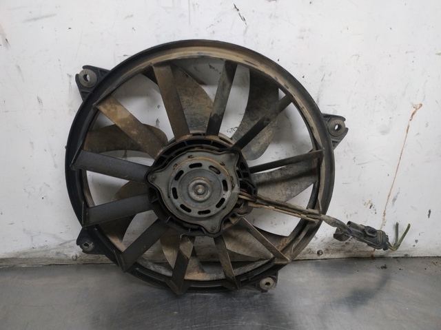 1049874716T Peugeot/Citroen