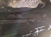 Caja de cambios automática completa 1068401157 BMW