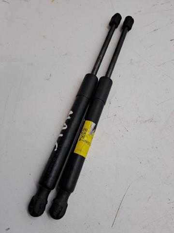 Amortiguador de puerta trasera 109156000B TESLA