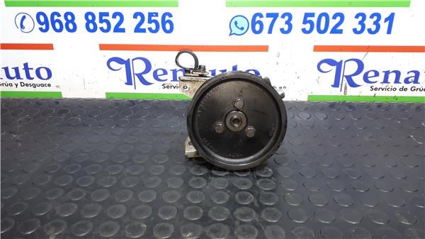 Comprar Bomba servodireccion 5  E39