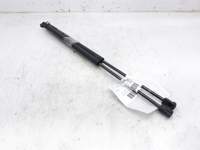 Amortiguador de maletero Ford Focus I desde 12,40 €