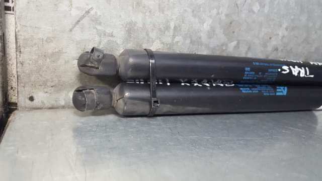 1094814 Amortiguador maletero  en stock Castellón