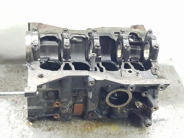 Bloque motor 110104767R Renault (RVI)