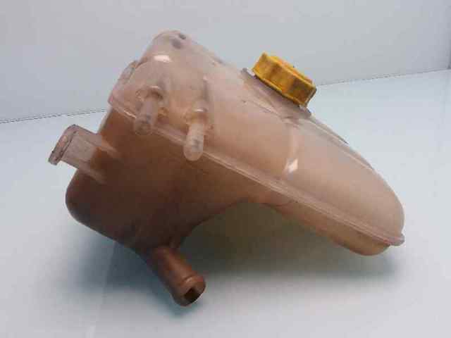 Botella de refrigeración Ford Focus 1 DFW