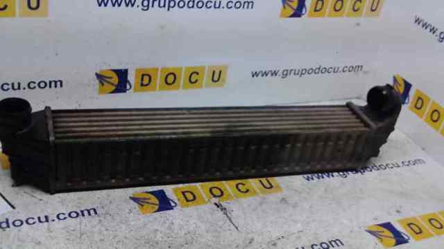 Radiador de aire, intercooler Ford Galaxy  (WGR)