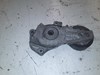 Tensor de correa poli V  11281482199 BMW