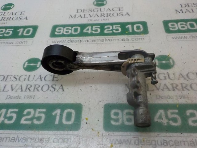 11287571015 BMW Tensor de correa poli V  en stock Huelva