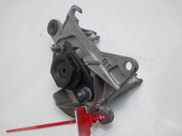 113757824R Renault (RVI)